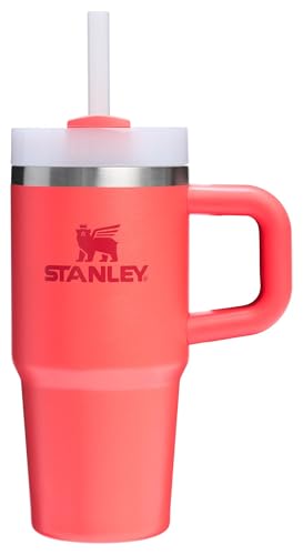 Stanley Quencher H2.0 Tumbler with Handle and Straw 30 oz | Flowstate 3-Position Lid | Cup Holder Compatible for Travel | Insulated Stainless Steel Cup | BPA-Free | Frost