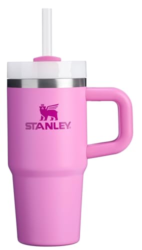 Stanley Quencher H2.0 Tumbler with Handle and Straw 30 oz | Flowstate 3-Position Lid | Cup Holder Compatible for Travel | Insulated Stainless Steel Cup | BPA-Free | Frost
