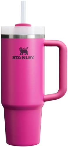 Stanley Quencher H2.0 Tumbler with Handle and Straw 30 oz | Flowstate 3-Position Lid | Cup Holder Compatible for Travel | Insulated Stainless Steel Cup | BPA-Free | Frost