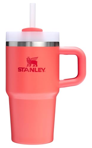 Stanley Quencher H2.0 Tumbler with Handle and Straw 30 oz | Flowstate 3-Position Lid | Cup Holder Compatible for Travel | Insulated Stainless Steel Cup | BPA-Free | Frost