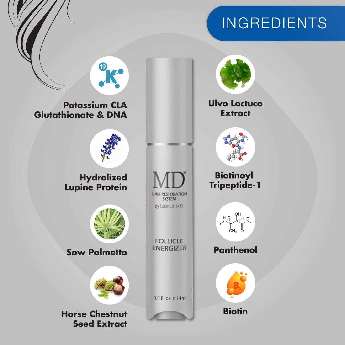 MD Factor Natural Hair Growth Serum | Follicle Energizer Serum - 모낭을 자극하여 두껍고 풍성한 머리카락을 생성하여 얇아지는 머리카락과 탈모를 예방합니다(튜브당 30일 공급)