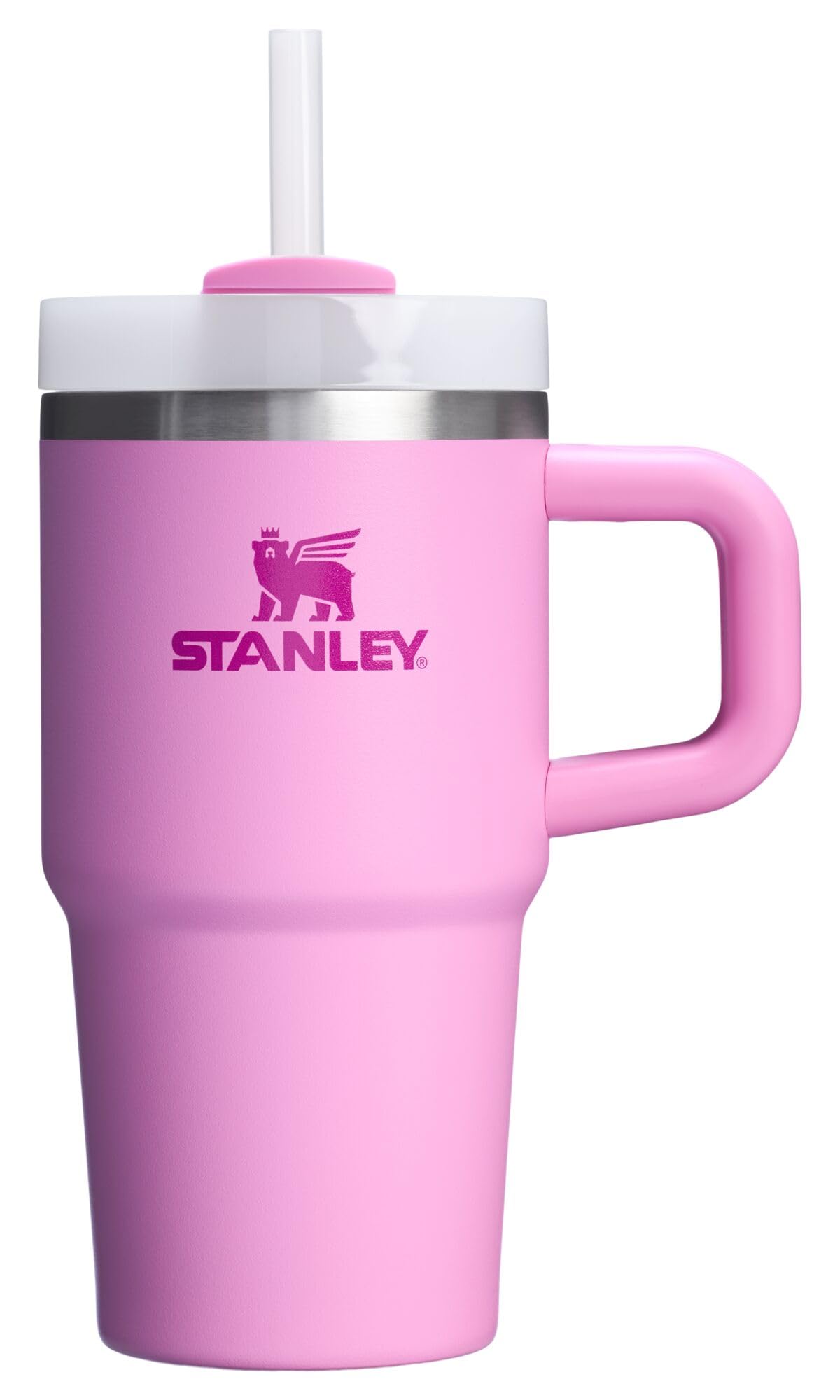 Stanley Quencher H2.0 Tumbler with Handle and Straw 30 oz | Flowstate 3-Position Lid | Cup Holder Compatible for Travel | Insulated Stainless Steel Cup | BPA-Free | Frost